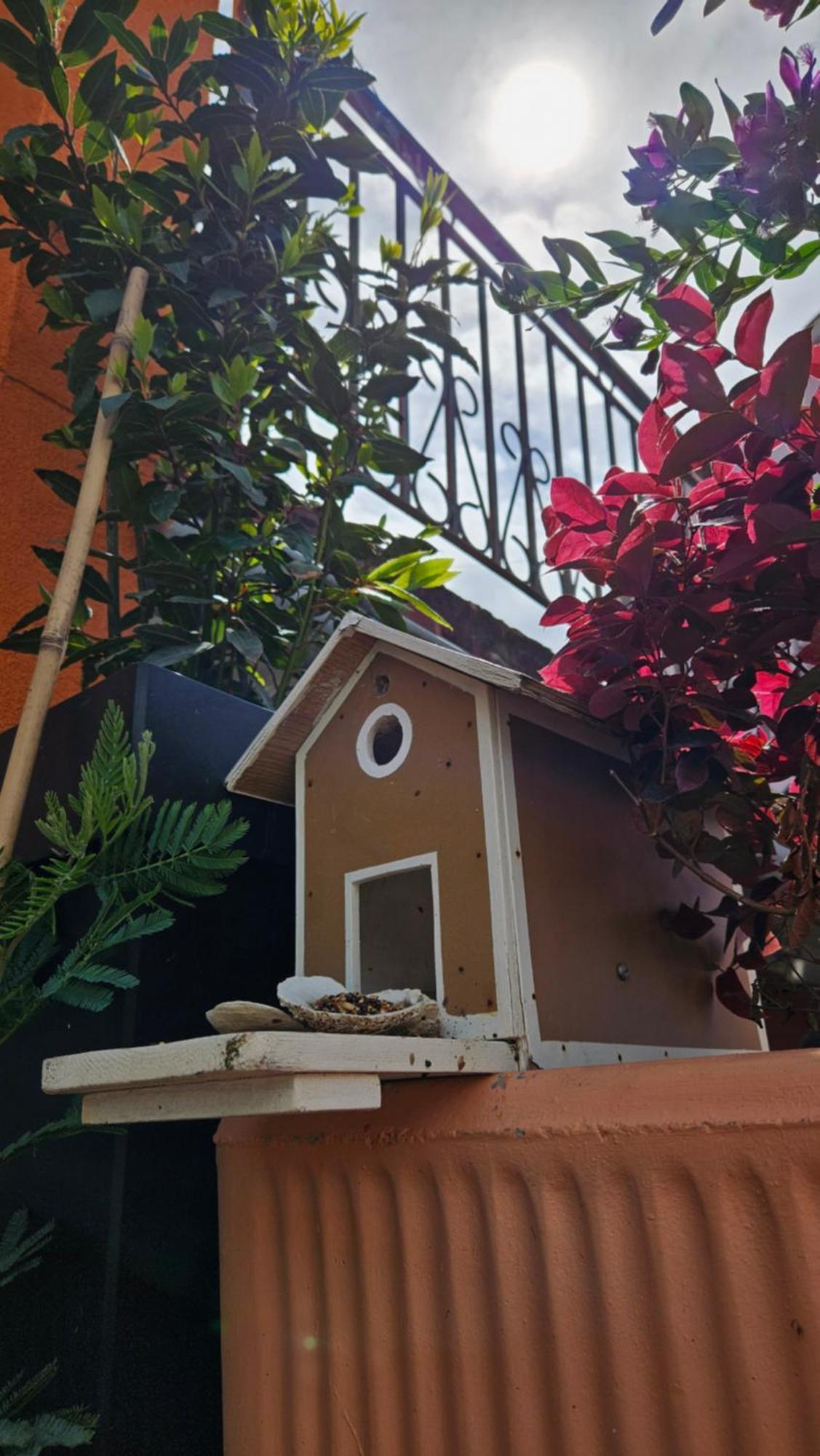Mexicana Apartment Pink Zadar Exterior foto